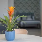 Апартаменти Loft The Ma By Paramount Holidays Адехе