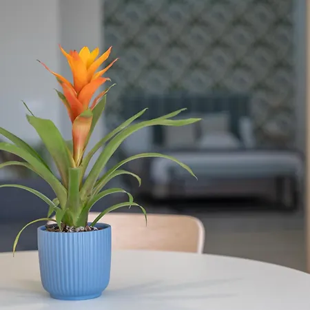 דירה Loft The Ma By Paramount Holidays אדחה