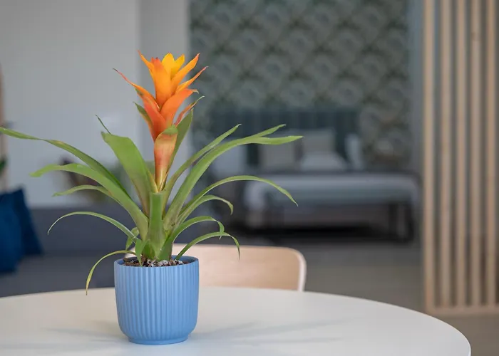 Apartmán Loft The Ma By Paramount Holidays Costa Adeje (Tenerife)